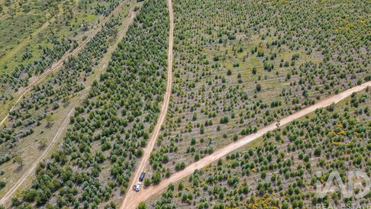 Terreno para Venda em Bemposta Foto 23