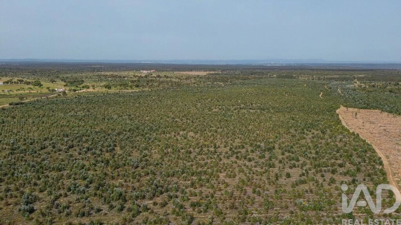 Terreno para Venda em Bemposta Foto 5
