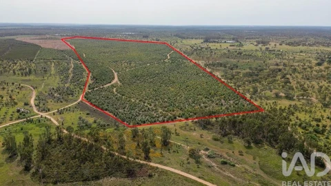 Terreno para Venda em Bemposta