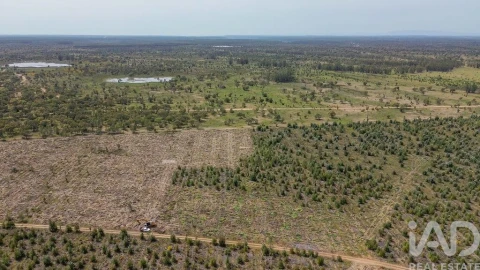 Terreno para Venda em Bemposta