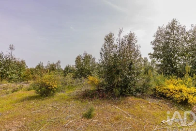 Terreno para Venda em Bemposta