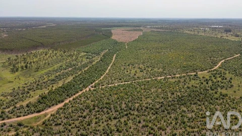 Terreno para Venda em Bemposta