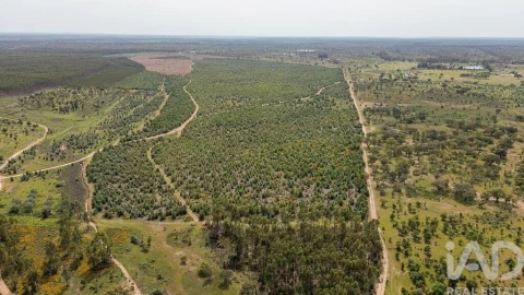 Terreno para Venda em Bemposta