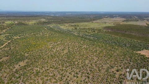 Terreno para Venda em Bemposta