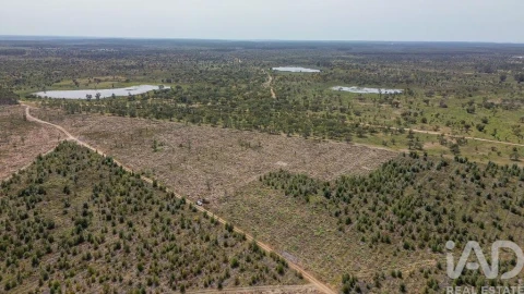 Terreno para Venda em Bemposta