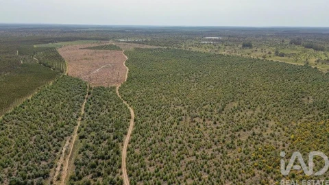 Terreno para Venda em Bemposta
