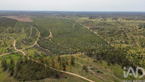 Terreno para Venda em Bemposta