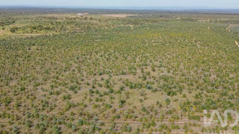 Terreno para Venda em Bemposta