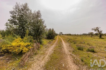 Terreno para Venda em Bemposta