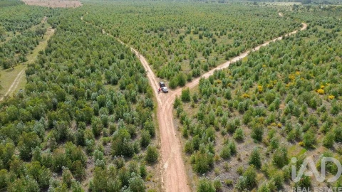 Terreno para Venda em Bemposta