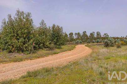 Terreno para Venda em Bemposta