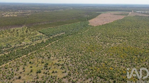 Terreno para Venda em Bemposta