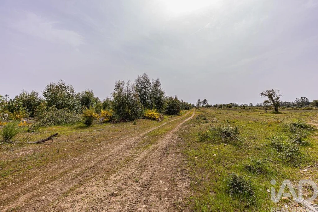 Terreno para Venda em Bemposta Foto 17