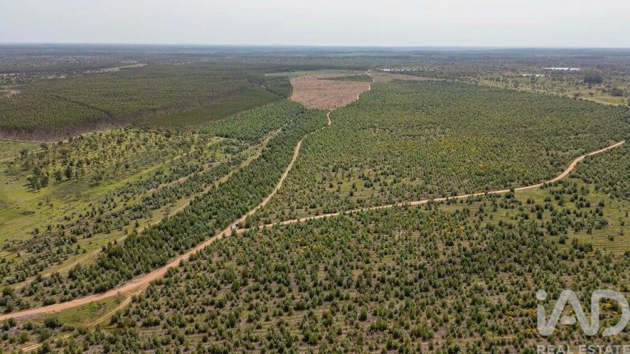 Terreno para Venda em Bemposta Foto 30