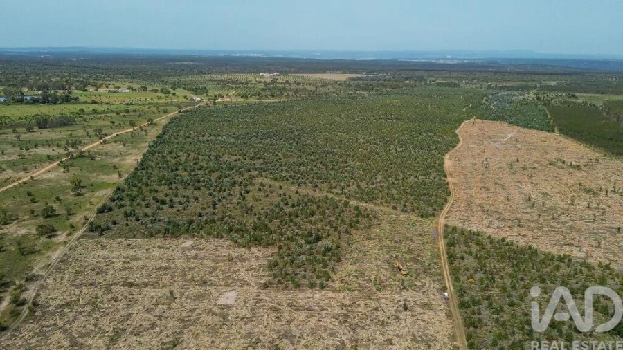 Terreno para Venda em Bemposta Foto 28