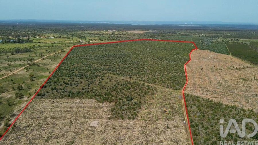 Terreno para Venda em Bemposta Foto 27