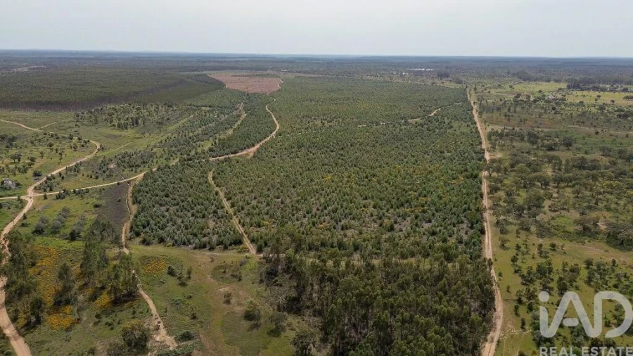 Terreno para Venda em Bemposta Foto 20