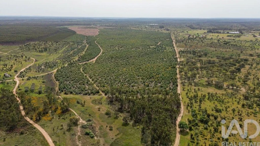Terreno para Venda em Bemposta Foto 3