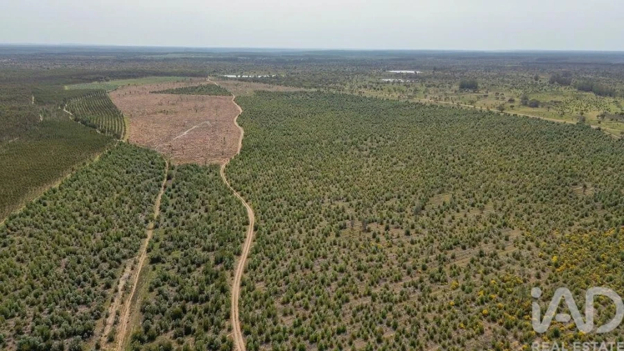 Terreno para Venda em Bemposta Foto 24
