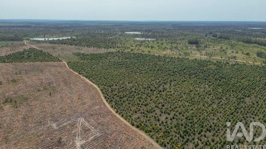 Terreno para Venda em Bemposta Foto 25