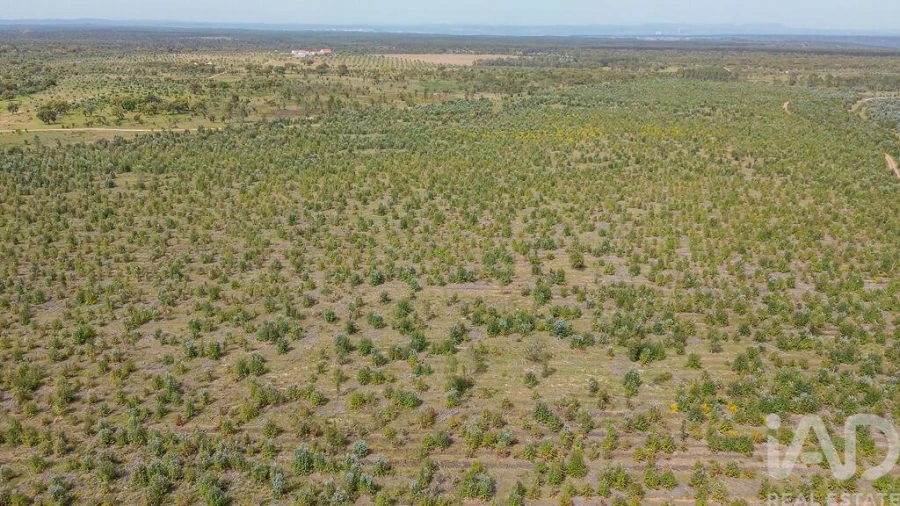 Terreno para Venda em Bemposta Foto 31