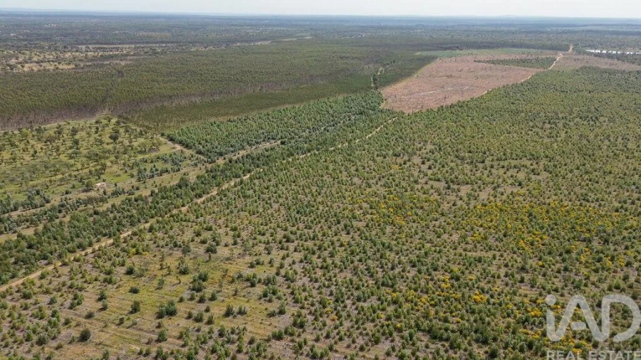 Terreno para Venda em Bemposta Foto 22
