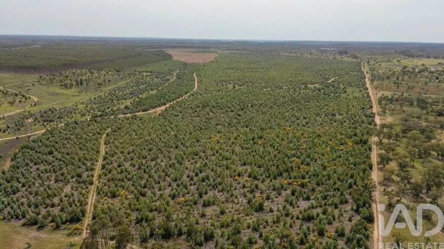 Terreno para Venda em Bemposta Foto 21