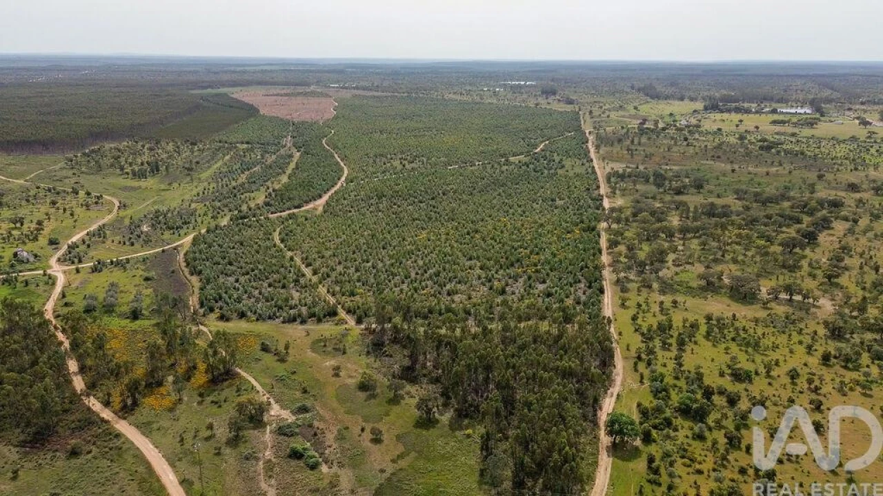 Terreno para Venda em Bemposta Foto 3