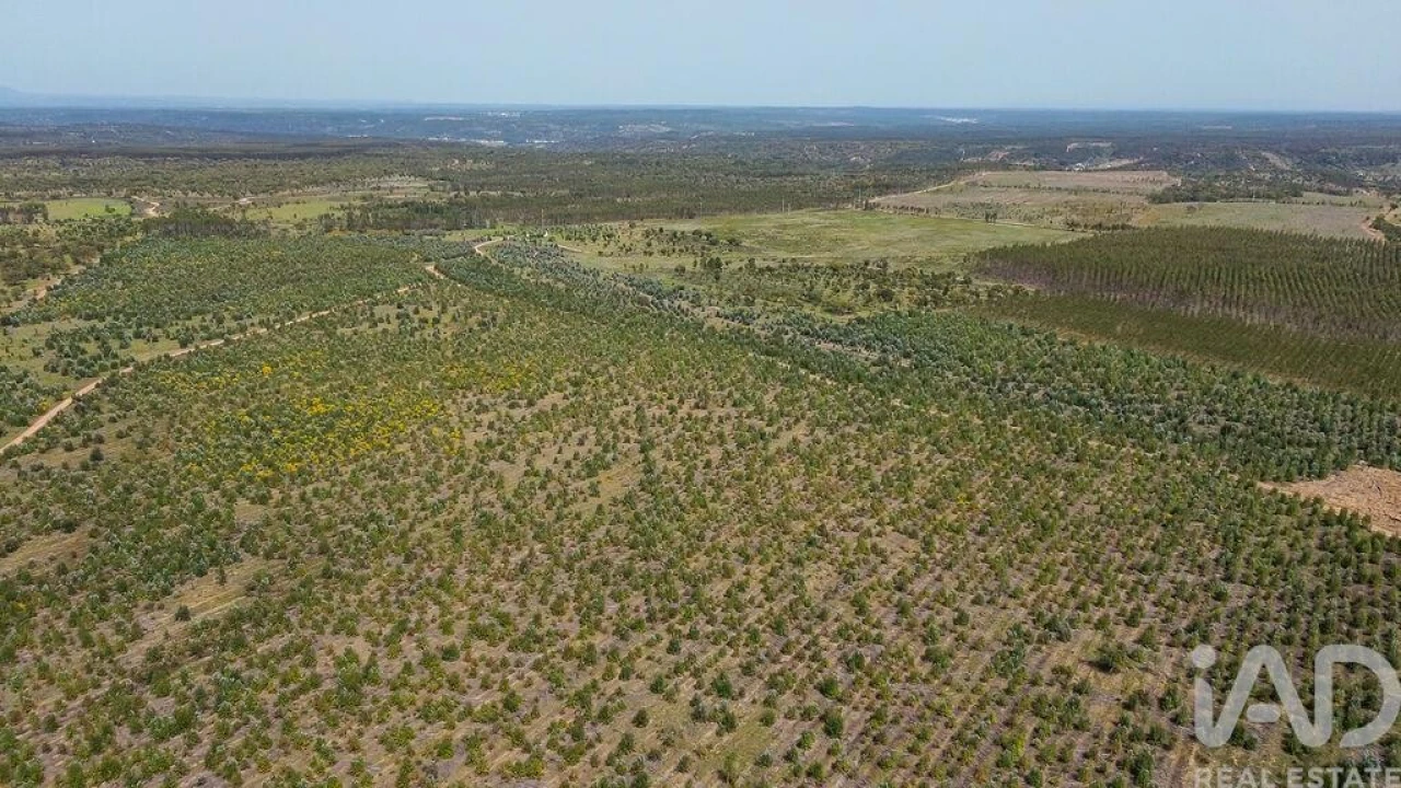 Terreno para Venda em Bemposta Foto 29