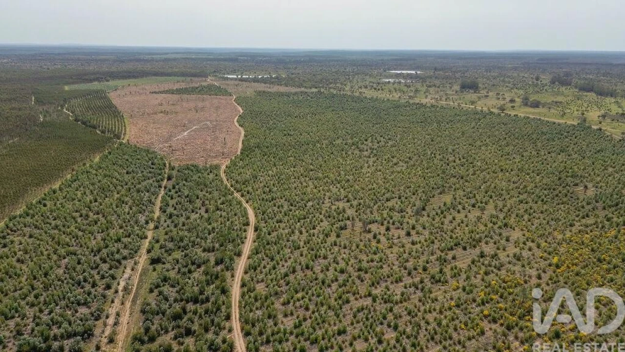 Terreno para Venda em Bemposta Foto 24