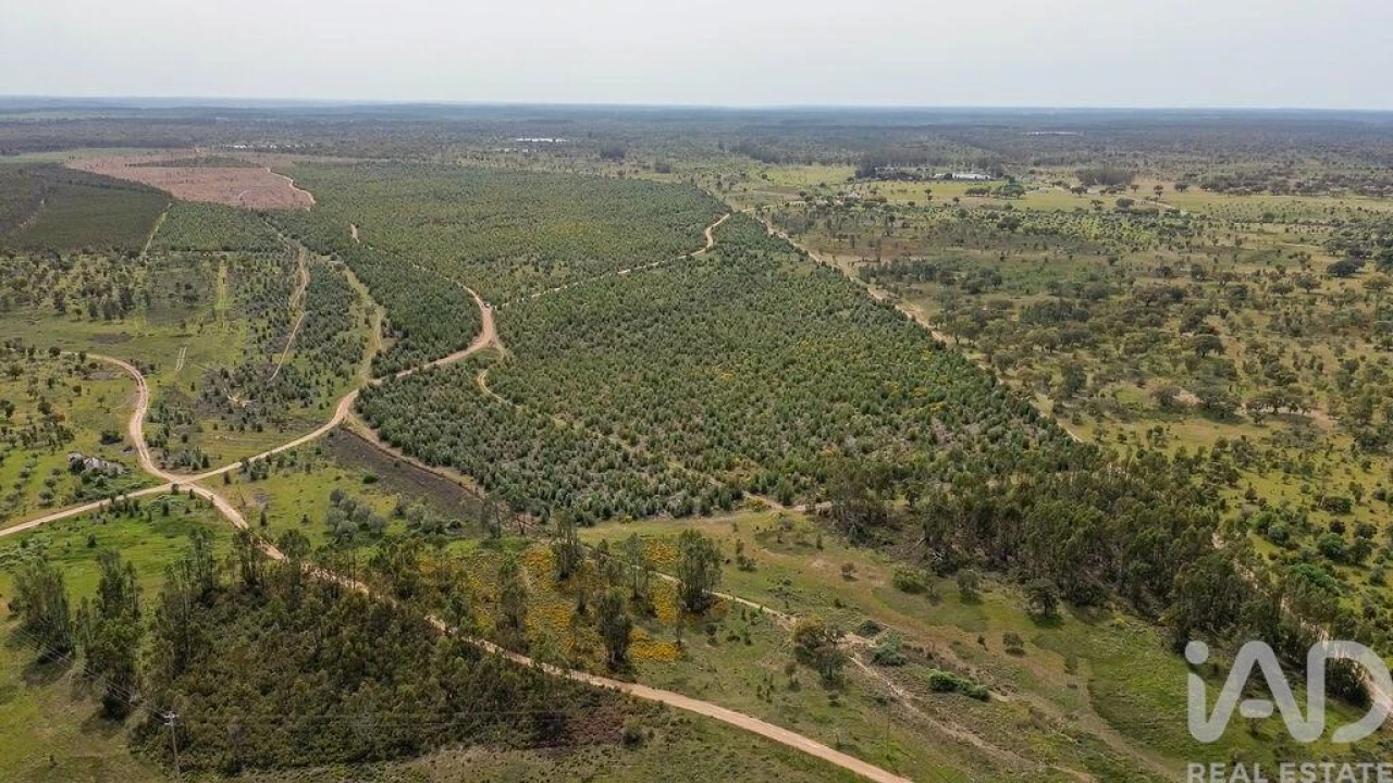 Terreno para Venda em Bemposta Foto 4
