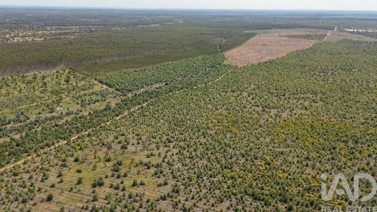 Terreno para Venda em Bemposta Foto 22