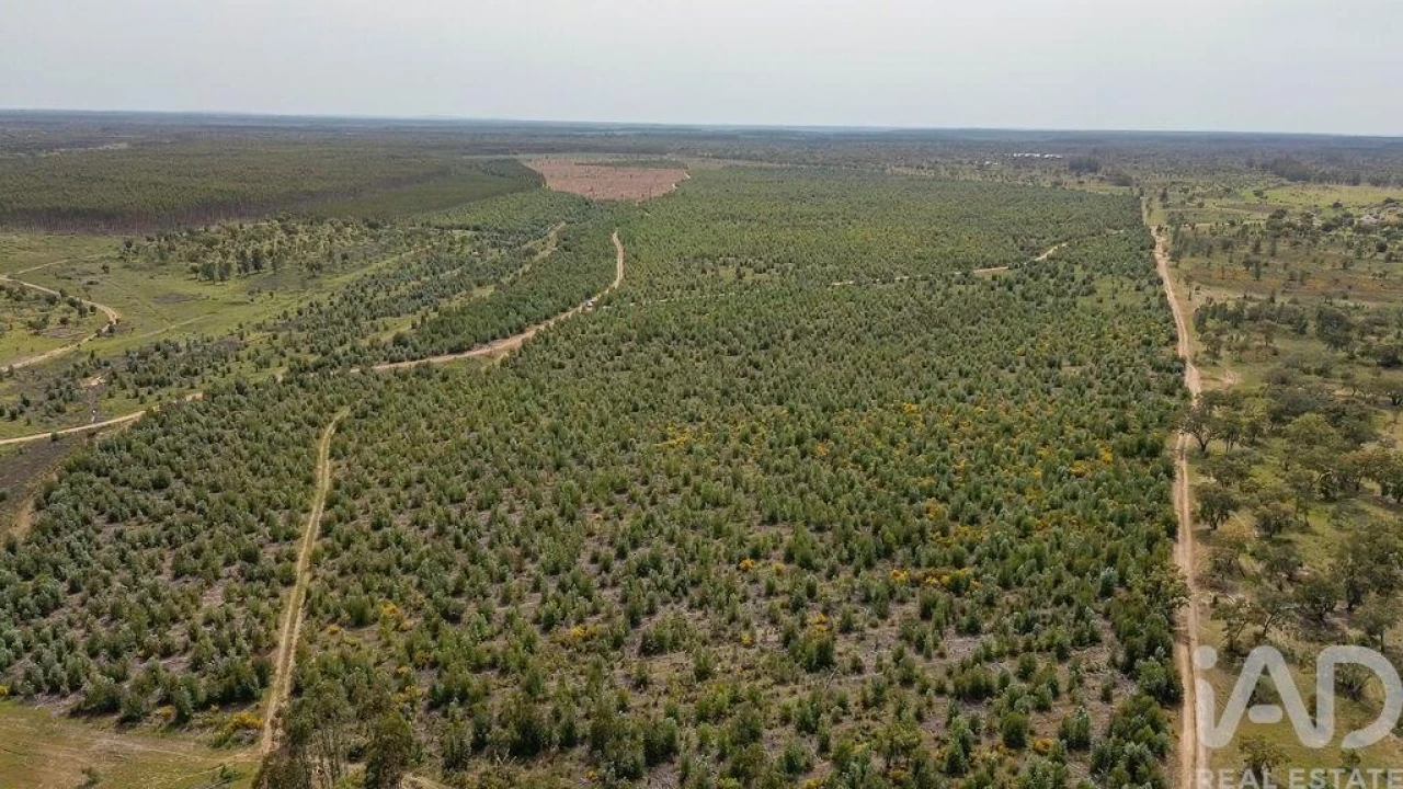 Terreno para Venda em Bemposta Foto 21
