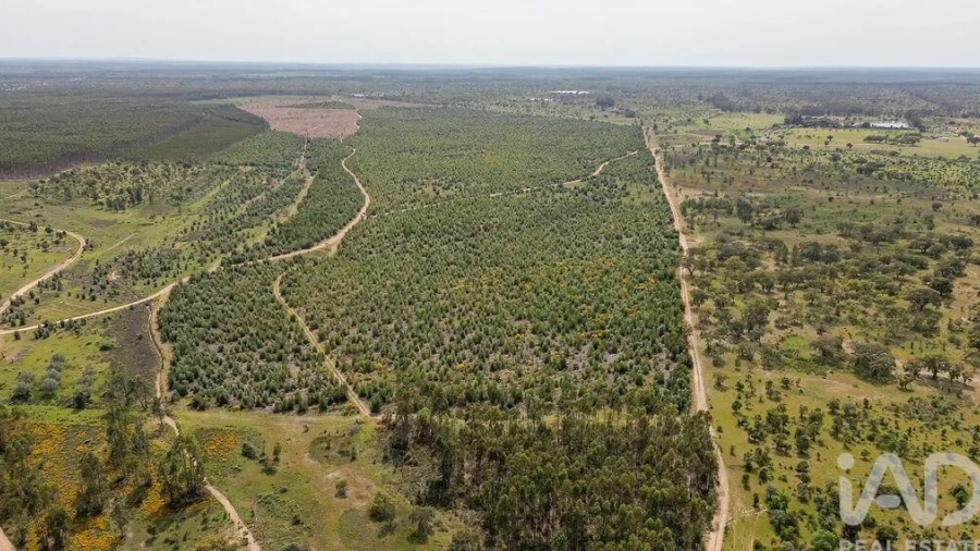 Terreno para Venda em Bemposta