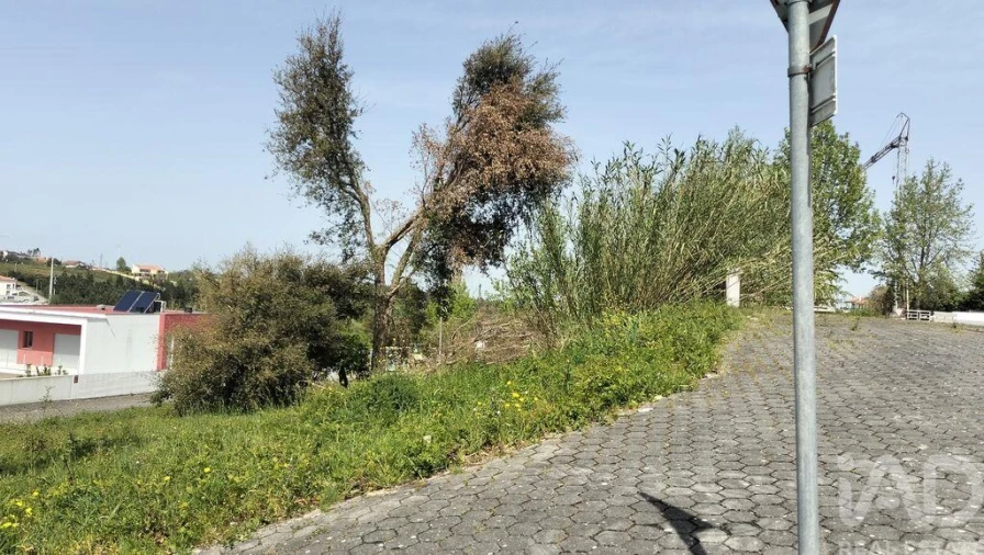 Terreno para Venda em Leiria, Pousos, Barreira e Cortes Foto 33