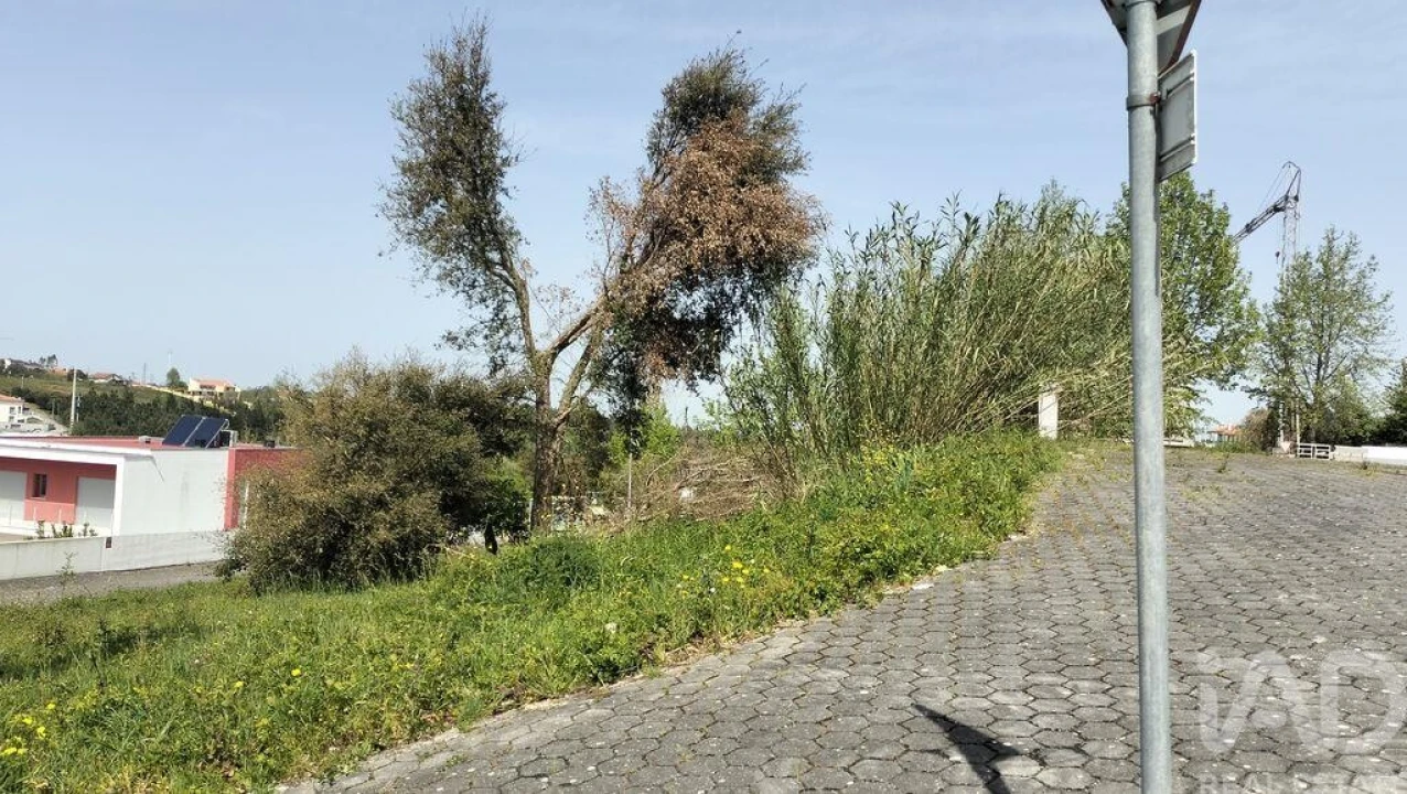 Terreno para Venda em Leiria, Pousos, Barreira e Cortes Foto 33