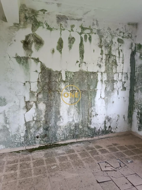 Terreno para Venda em Assafarge e Antanhol