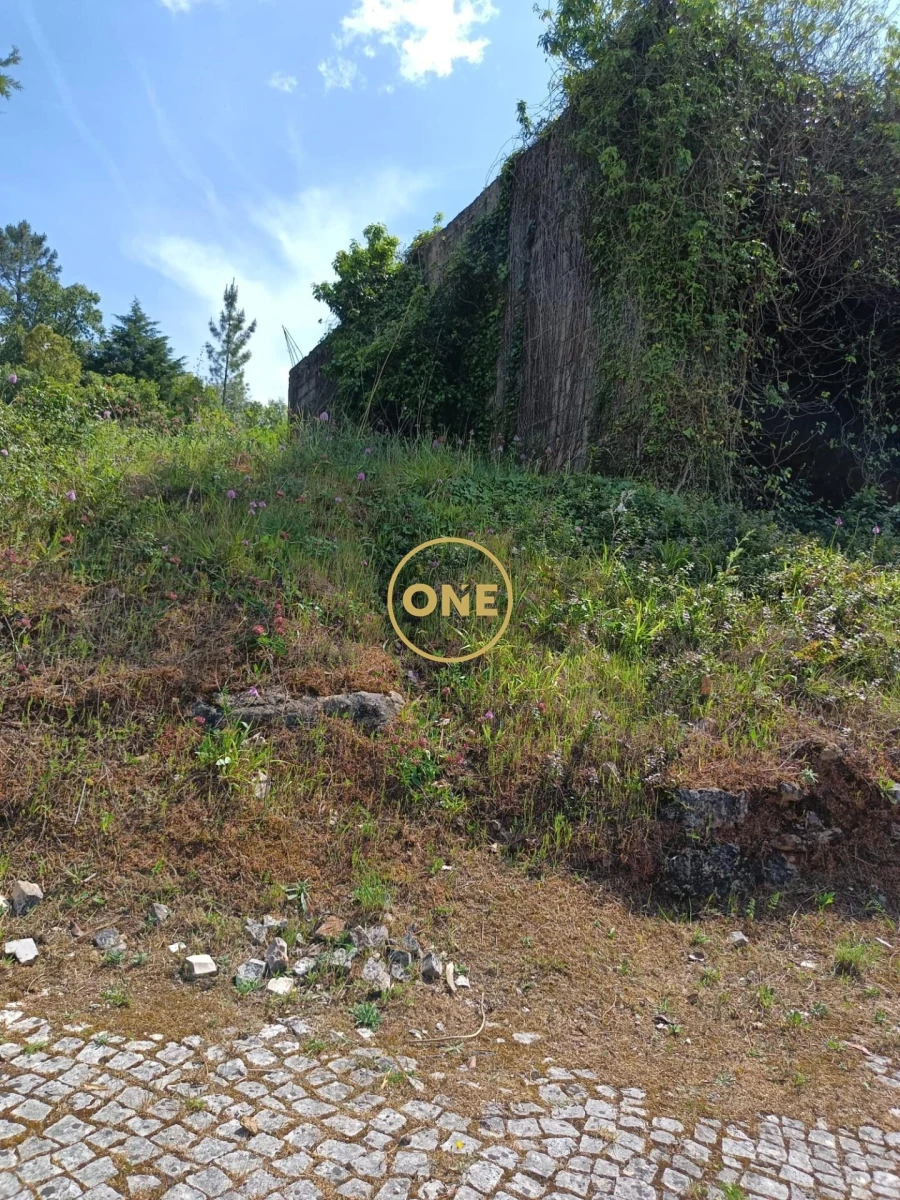 Terreno para Venda em Assafarge e Antanhol Foto 4