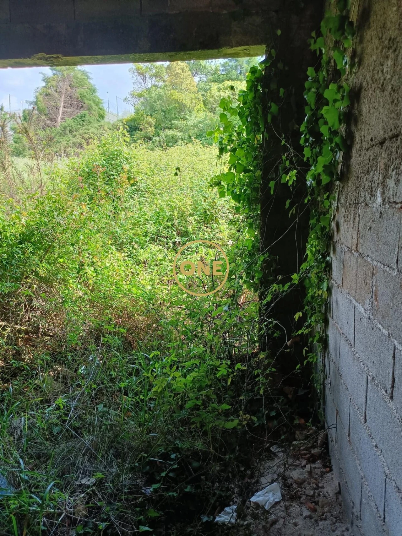 Terreno para Venda em Assafarge e Antanhol Foto 9