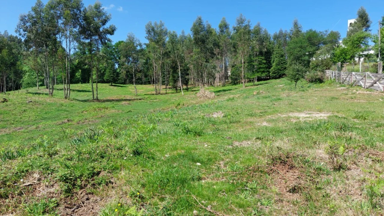 Terreno para Venda em Tabuaças Foto 7