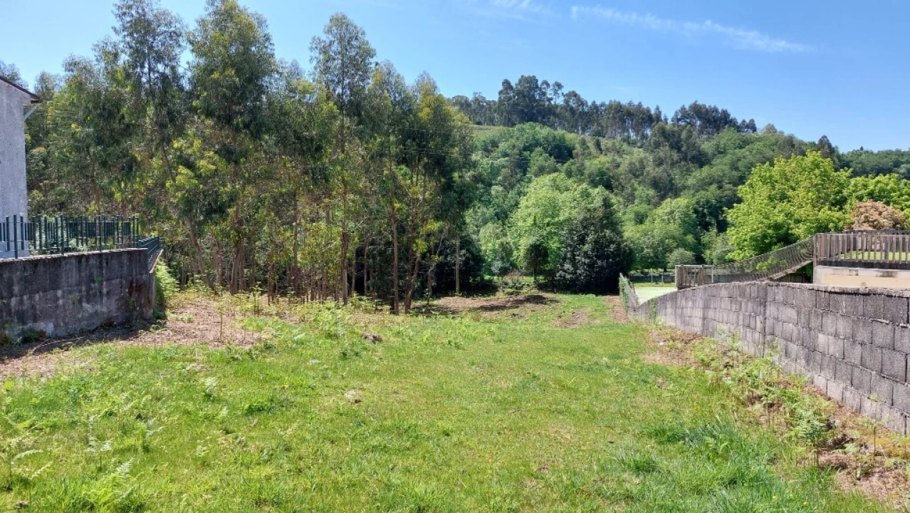Terreno para Venda em Tabuaças Foto 8