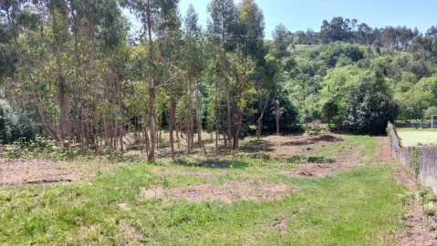 Terreno para Venda em Tabuaças