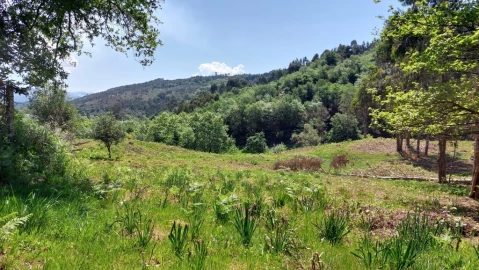 Terreno para Venda em Tabuaças