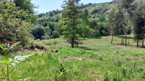 Terreno para Venda em Tabuaças