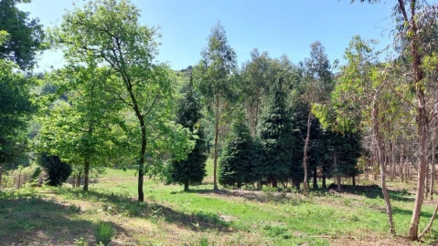 Terreno para Venda em Tabuaças