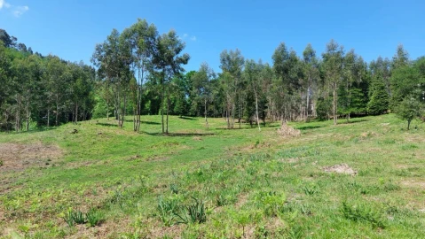 Terreno para Venda em Tabuaças