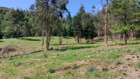 Terreno para Venda em Tabuaças