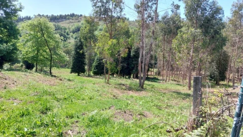 Terreno para Venda em Tabuaças