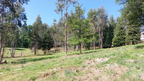 Terreno para Venda em Tabuaças