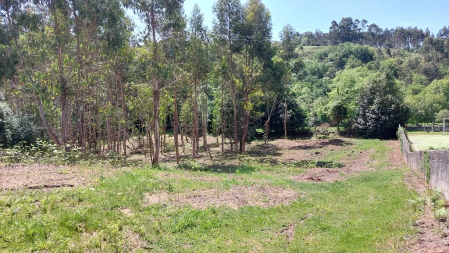 Terreno para Venda em Tabuaças Foto 27